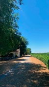 1BDA771C-FAB6-4E6C-A385-20851DB4BD6B.jpeg