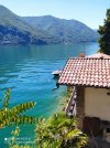 IMG_20220710_123333.jpg