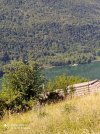 IMG_20220710_095228.jpg