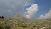 IMG_8697.JPG
