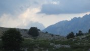 IMG_8723.JPG