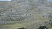 IMG_8725.JPG