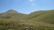IMG_8743.JPG
