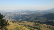 IMG_8866.JPG