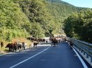 20220719_090054.jpg 20220719_090054.jpg