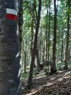 20220719_103831.jpg 20220719_103831.jpg