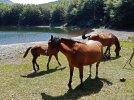 20220719_121849.jpg 20220719_121849.jpg