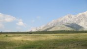 IMG_8890.JPG