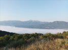 IMG_20220723_064835.jpg