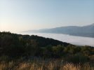 IMG_20220723_064841.jpg