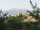 IMG_20220723_065732.jpg