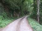 IMG_20220723_080050.jpg