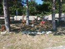 IMG_20220723_090508.jpg