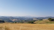 20220723_081904.jpg