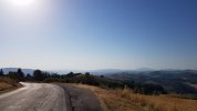 20220723_081927.jpg