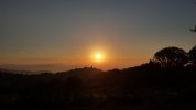 20220730_062353.jpg