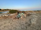 IMG_0077.jpeg