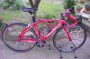 Dogma carbon 60.1._JPG.jpg