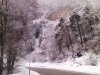 P251210_11.17.jpg