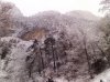 P251210_11.16.jpg