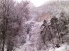 P251210_11.17_[01].jpg