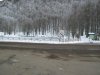 corno alle scale 001.jpg