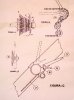 3927301984_49c1056b97_z.jpg