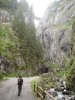 DSC05195.jpg