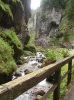 DSC05198.jpg