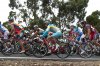 allan davis s-works.jpg