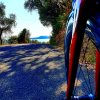 IMG_20220812_180719_757.jpg
