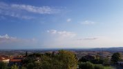 20220813_081246.jpg