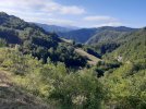 20220813_090724.jpg 20220813_090724.jpg