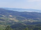 20220814_170321.jpg 20220814_170321.jpg