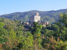 20220815_083641.jpg