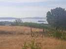 20220815_091416.jpg