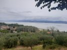 20220815_103522.jpg