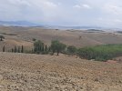 20220815_132557.jpg