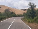 20220815_134751.jpg