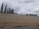 20220815_140917.jpg
