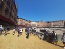 20220817_121315.jpg