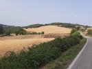 20220817_163818.jpg 20220817_163818.jpg