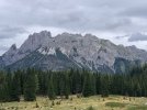 463A2F78-BEDE-49ED-8DAA-03B62F332511.jpeg