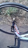 IMG-20220825-WA0000.jpeg IMG-20220825-WA0000.jpeg