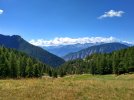 IMG_20220822_131621.jpg