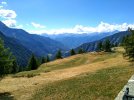 IMG_20220822_132439.jpg