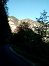 IMG_20220826_094329.jpg