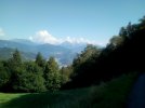 IMG_20220826_104929.jpg