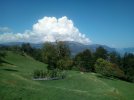 IMG_20220826_105052.jpg
