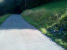 IMG_20220826_105105.jpg